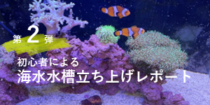 第二弾 アクア女子成長記 初心者による海水水槽立ち上げレポート Hanna De Go