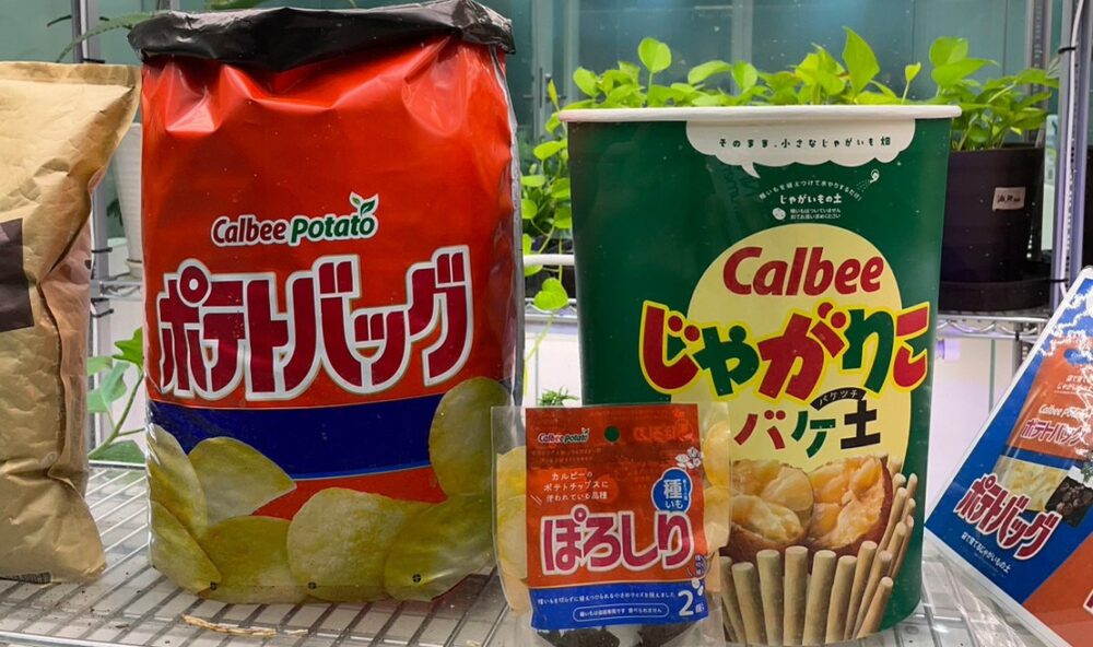 園芸用土メーカー、プロトリーフ。開発力の秘密は自社の”土壌”にあり