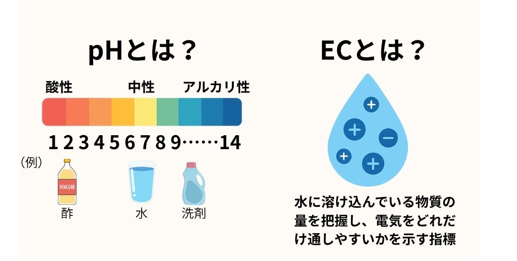 pHとECとは?水質評価の基本指標