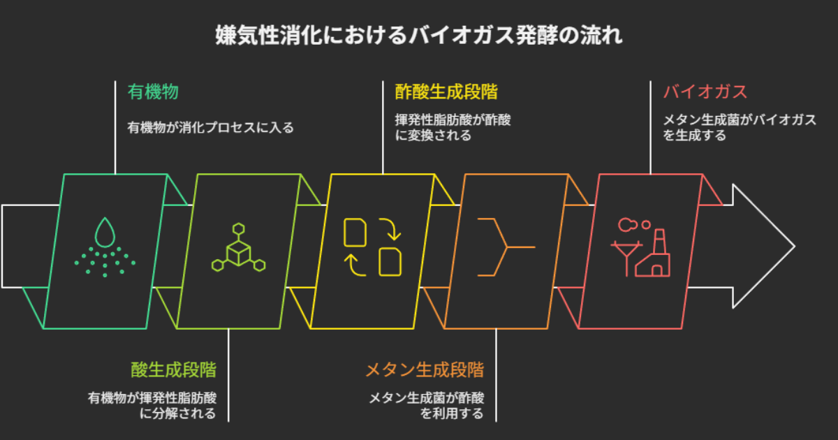 嫌気性消化におけるバイオガス発酵の流れ