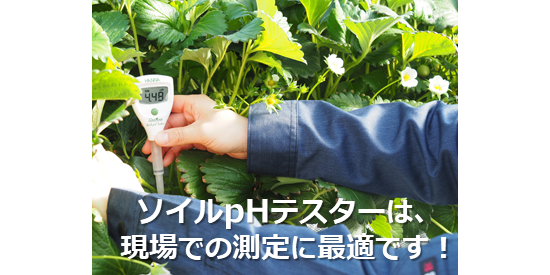 土壌ダイレクトpHテスター／HI 981030（Soil pH Tester） « pH計 