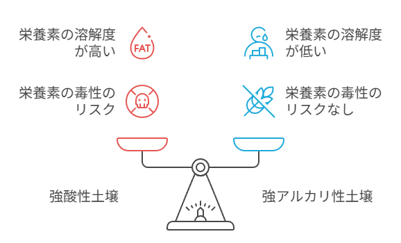 pHと栄養素の関係図