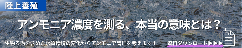 【陸上養殖】アンモニアを測る本当の理由